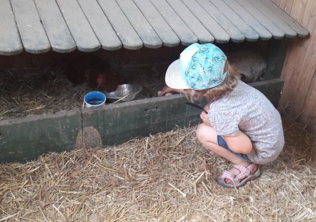 Ausflüge und Exkursionen