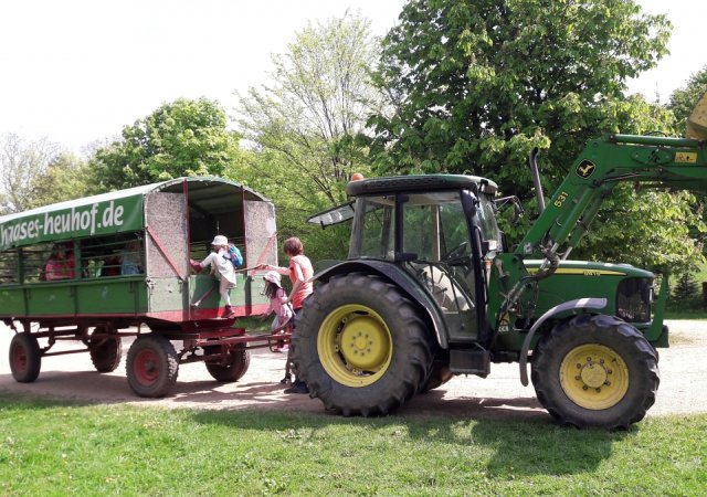 Kita reisen, Gruppenreise - Landpartie vor die Tore Hamburgs  Gruppenreise mit Übernachtungen auf dem Heuboden und Tiere des Heuhofes
