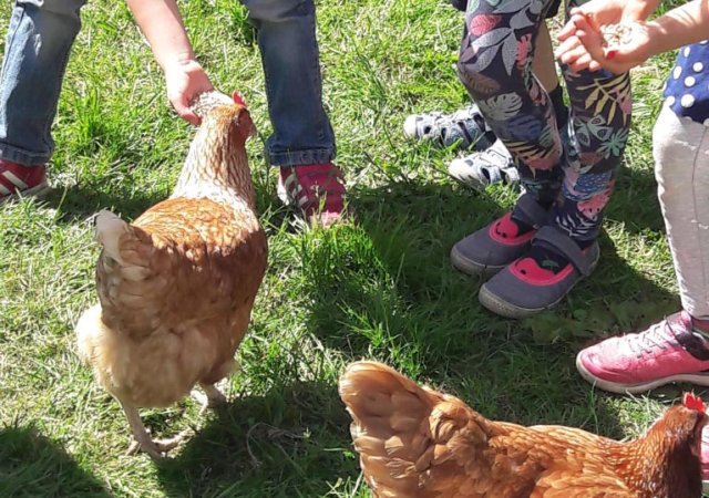 Kita Kratzbürsten Elementarhaus - Exkursionen