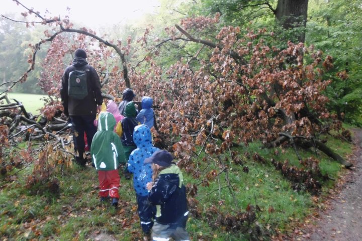 Waldtag Naturerfahrung Stadtkinder Entwicklung - Für unsere Stadtkinder ist der Waldtag eine sehr ursprüngliche, kreatürliche Naturerfahrung und bietet Entwicklungsmöglichkeiten in Hülle und Fülle.