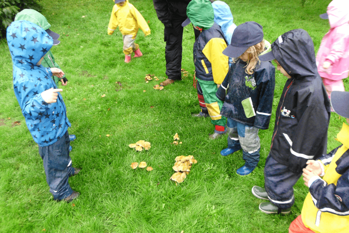 Waldtag Naturerfahrung Stadtkinder Entwicklung - Für unsere Stadtkinder ist der Waldtag eine sehr ursprüngliche, kreatürliche Naturerfahrung und bietet Entwicklungsmöglichkeiten in Hülle und Fülle.